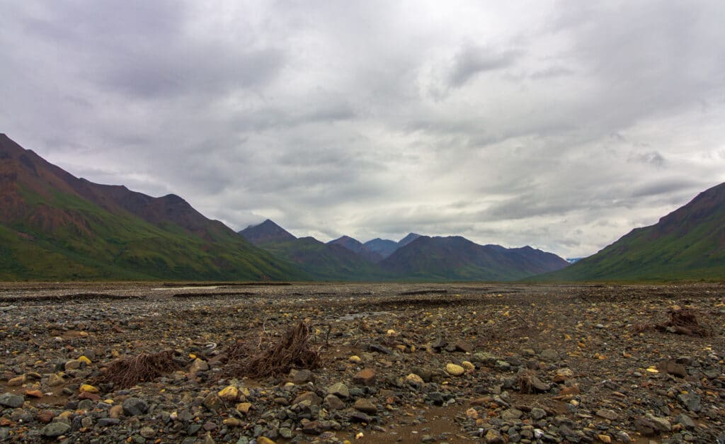 Denali National Park