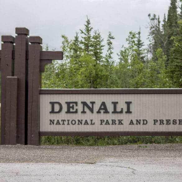 Denali National Park and Preserve Sign