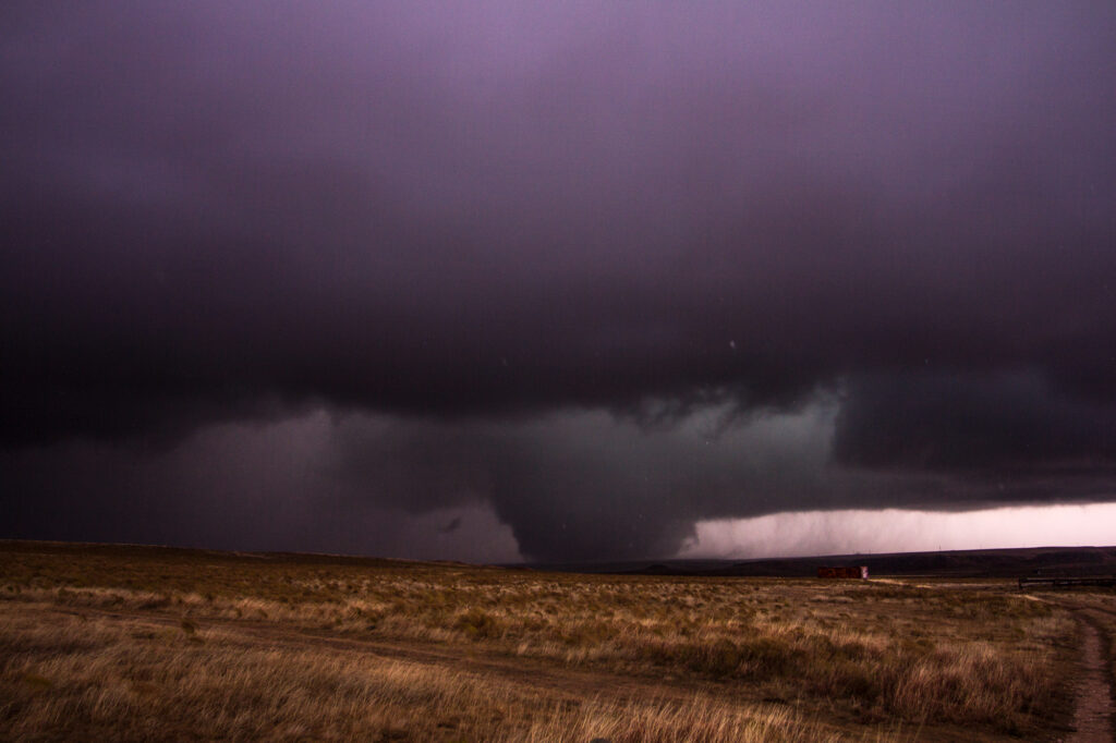 Texas sized wedge