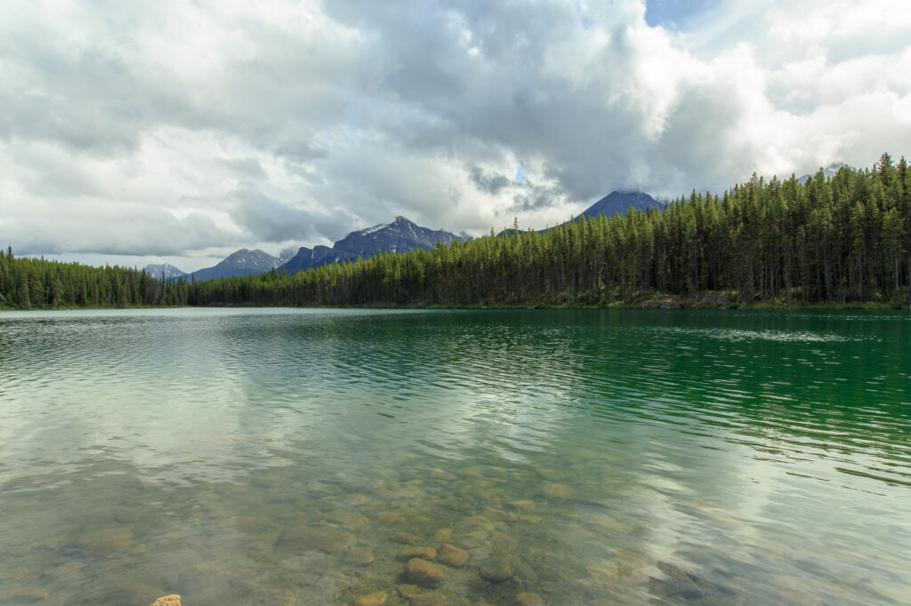 Herbert Lake