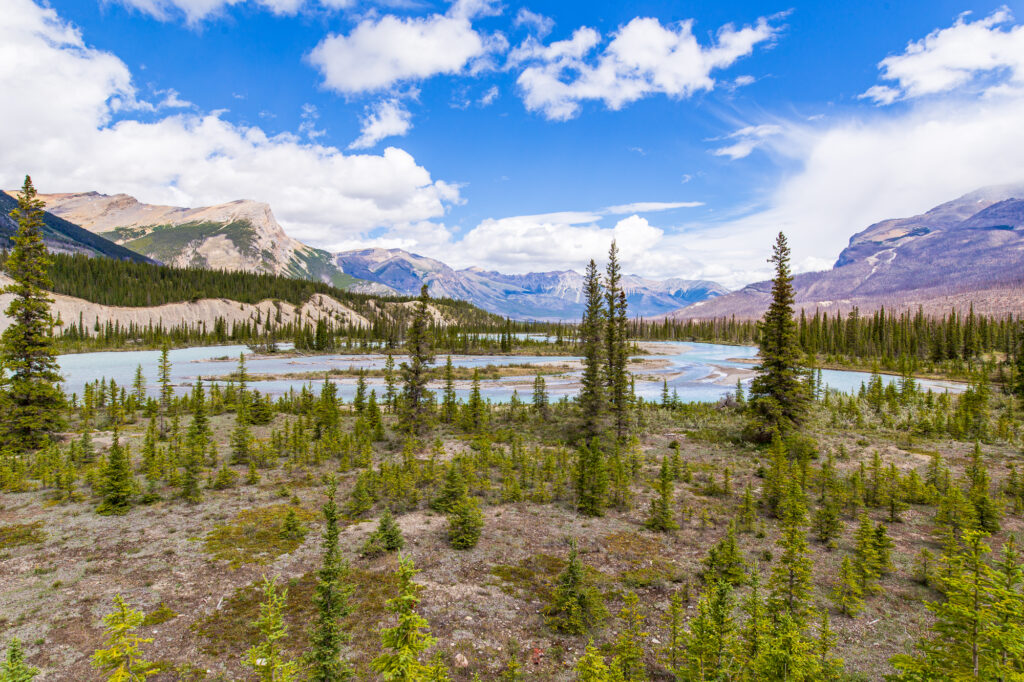 Saskatchewan Crossing, Banff National Park