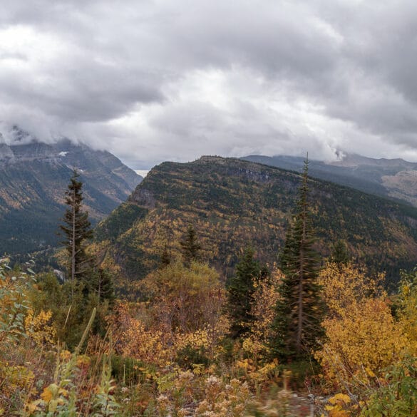 Glacier National Park’s Going to the Sun Road