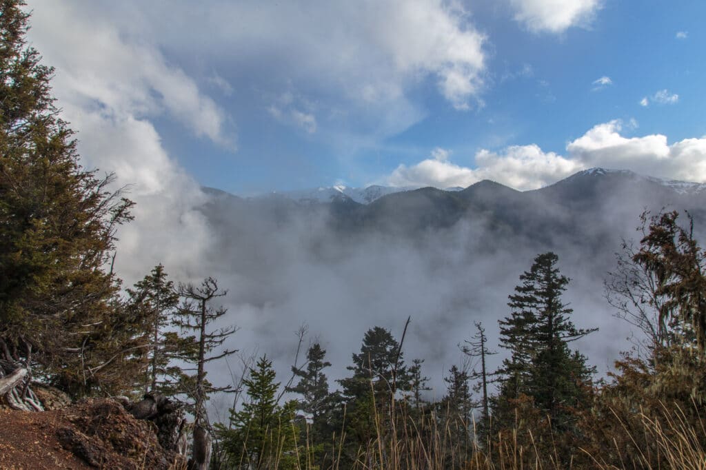 Hurricane Ridge Road in Olympic National Park