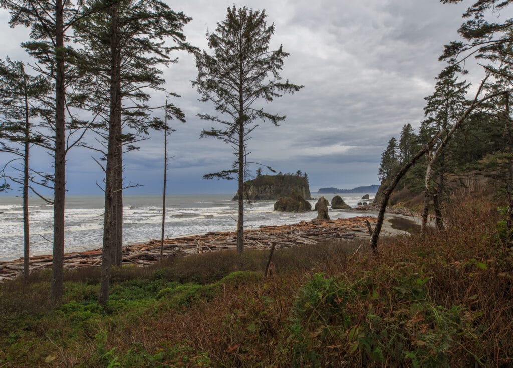 Ruby Beach in Olympic National Park