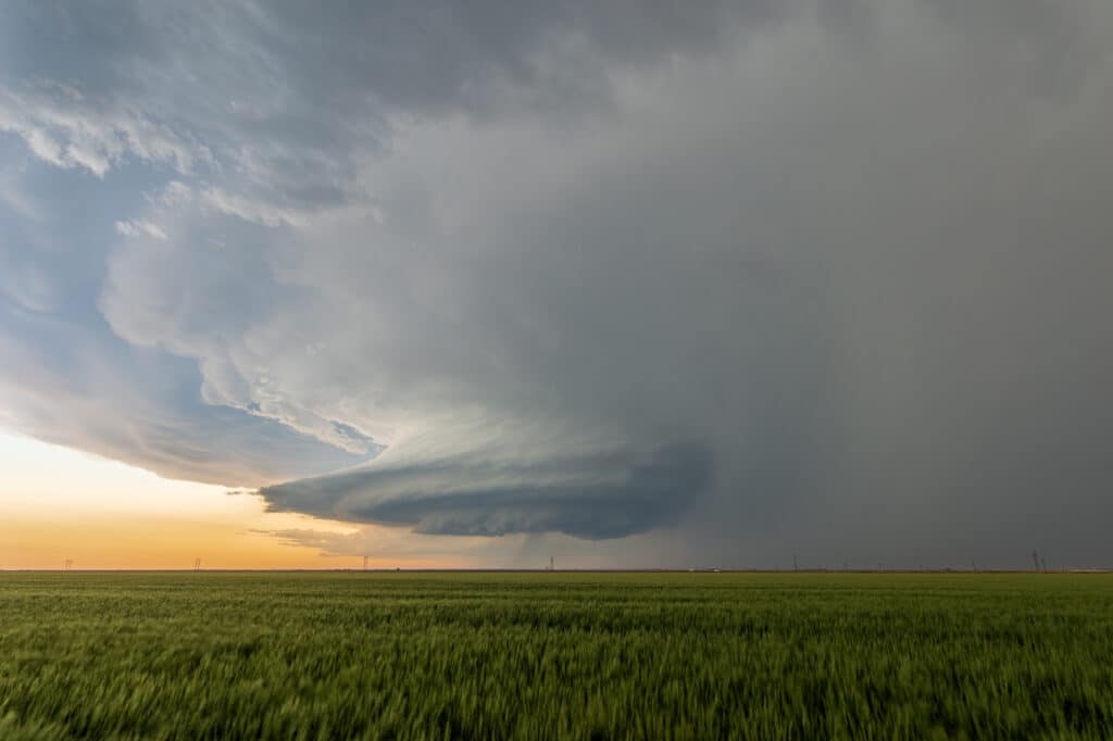 The next storm looming on the horizon to my west over open fields of wheat in southwest Kansas.