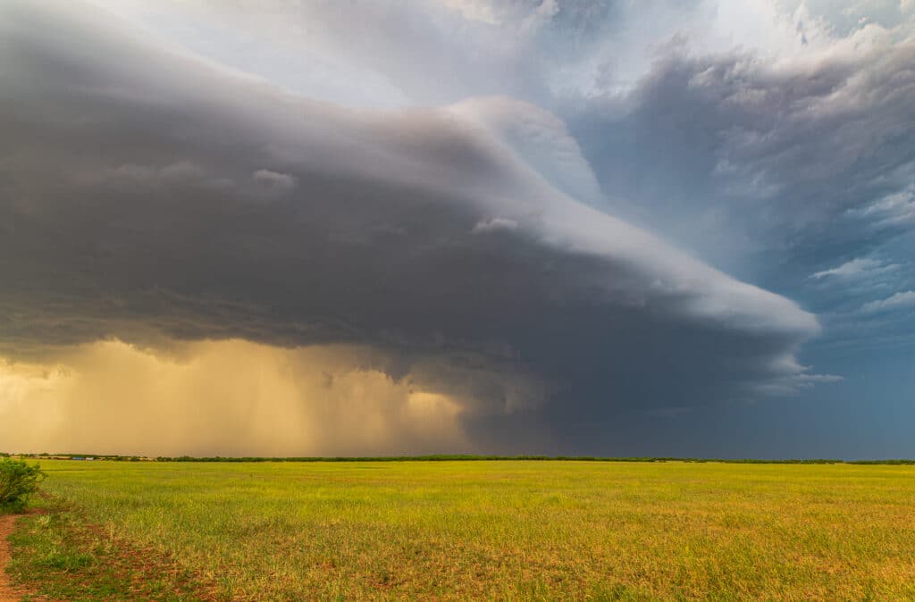 Structure and Rainshaft prominently displayed