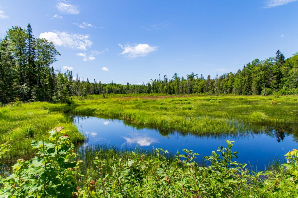 Michigan's Upper Peninsula