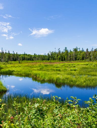 Michigan's Upper Peninsula