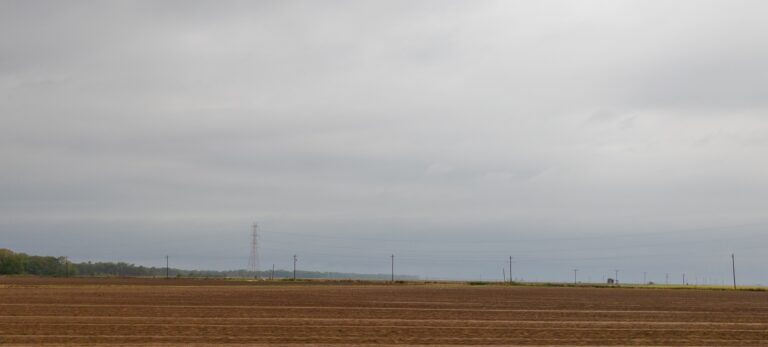 Shelf Cloud in Arkansas