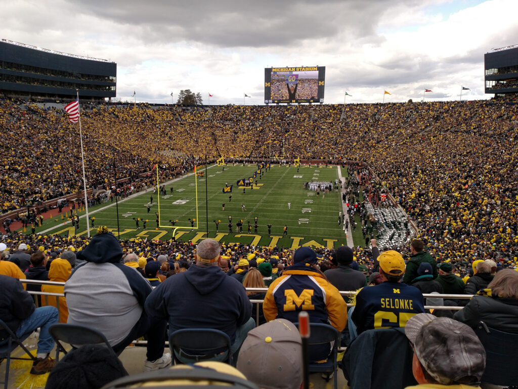 Michigan Flags