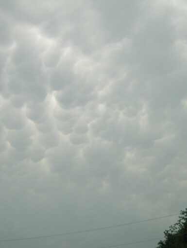 Mammatus