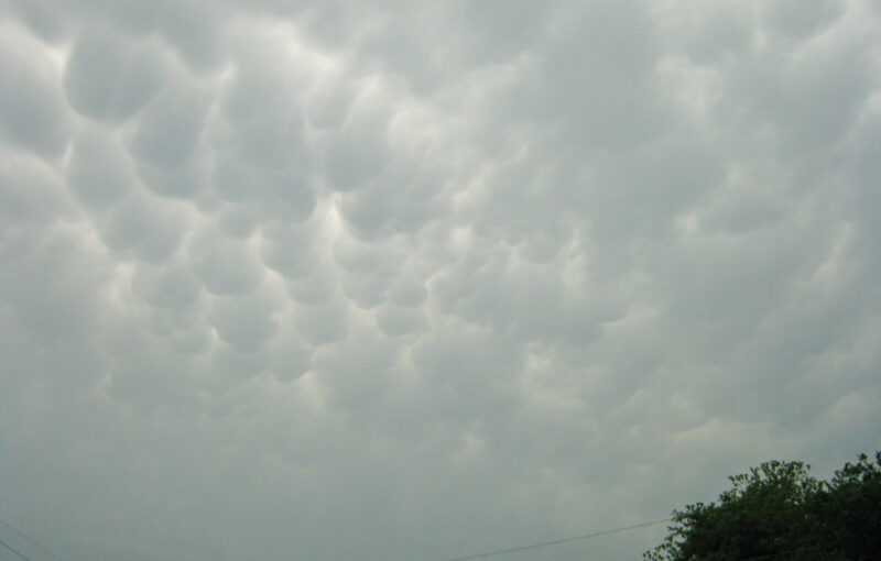 Mammatus