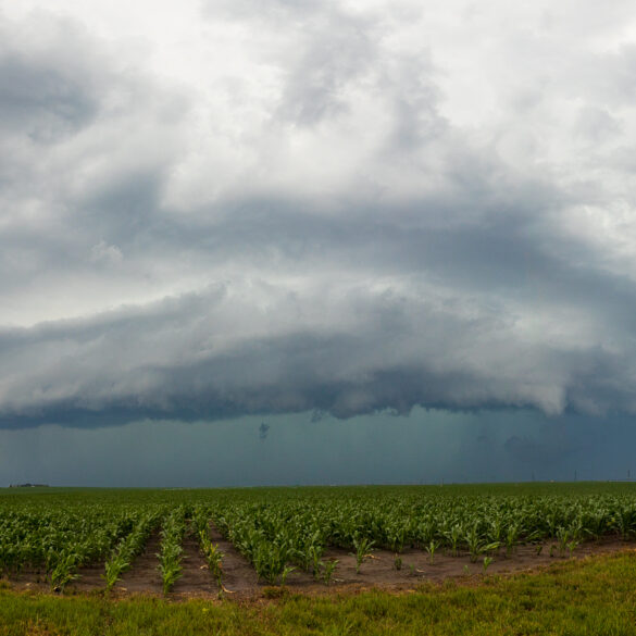 Nebraska Shelf Cloud