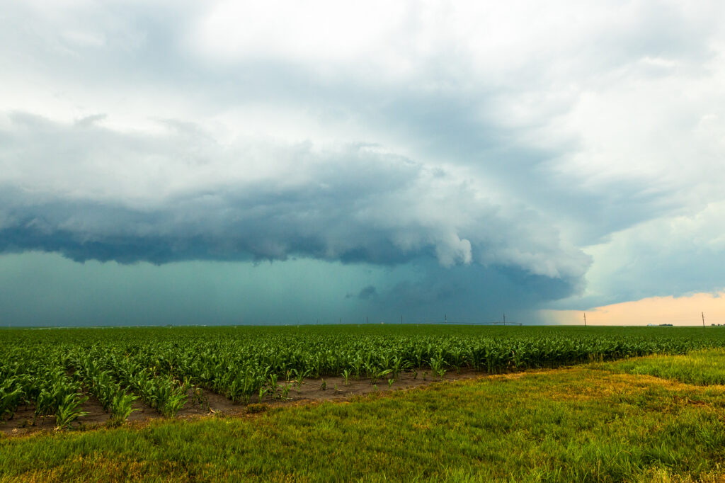 Shelf near Plymouth